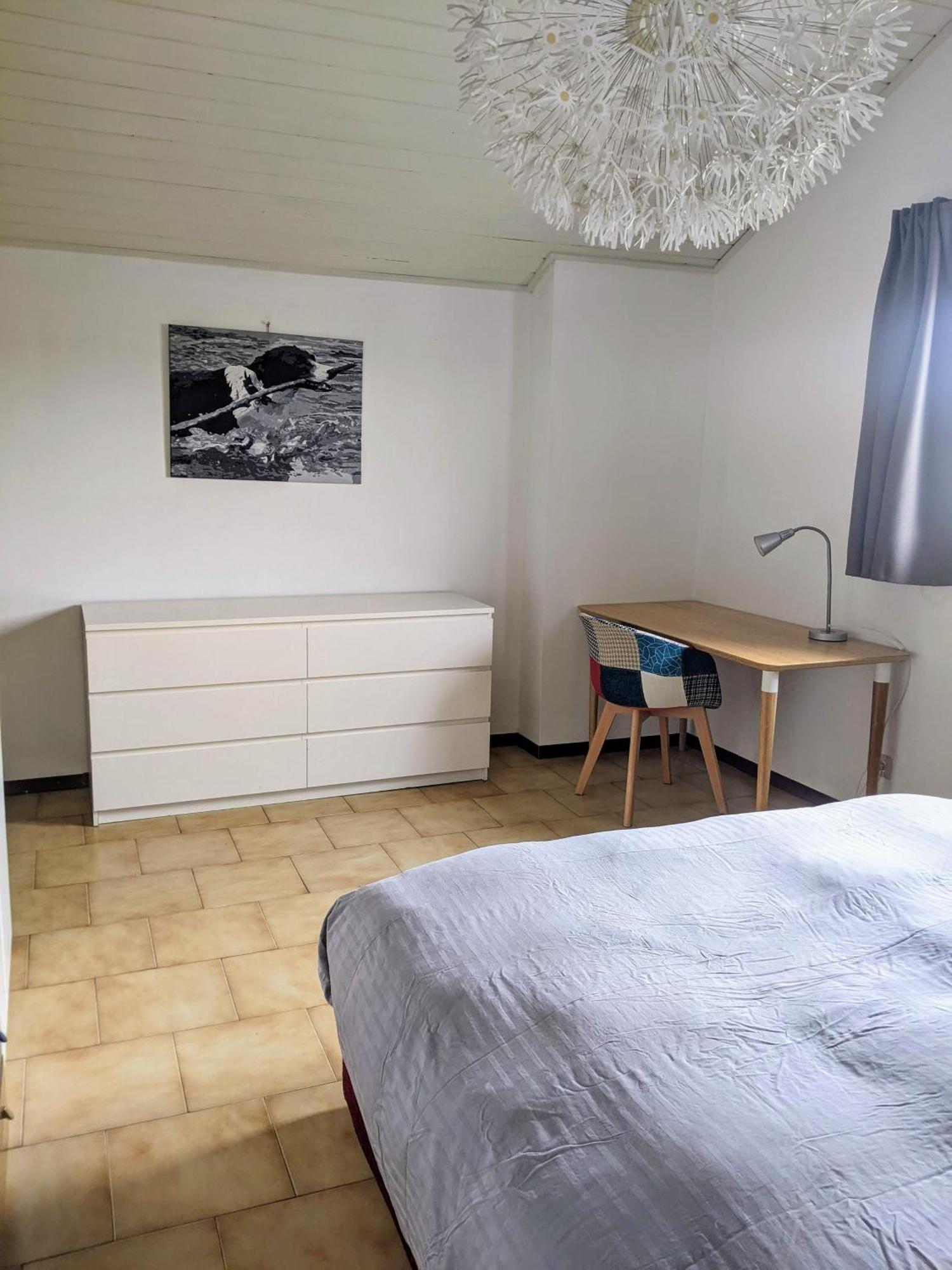 Lago Maggiore - Loft Apartment Ispra Eksteriør bilde